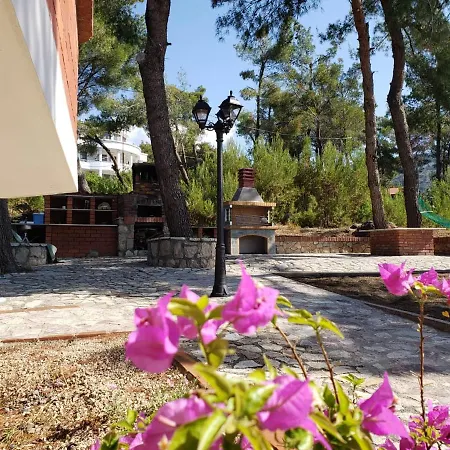 Apartament Brifs