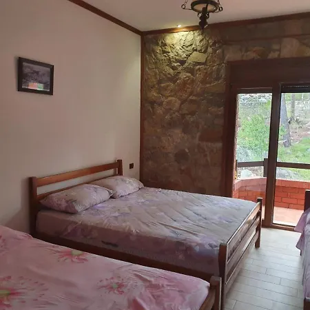 Brifs Apartament *