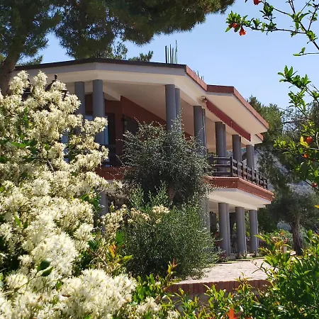 Apartament Brifs